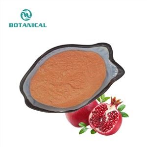 Pó de frutas de romã