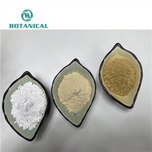 EcdysterOne TurkeSterona Powder