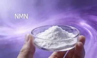 Qual é o melhor suplemento NMN?